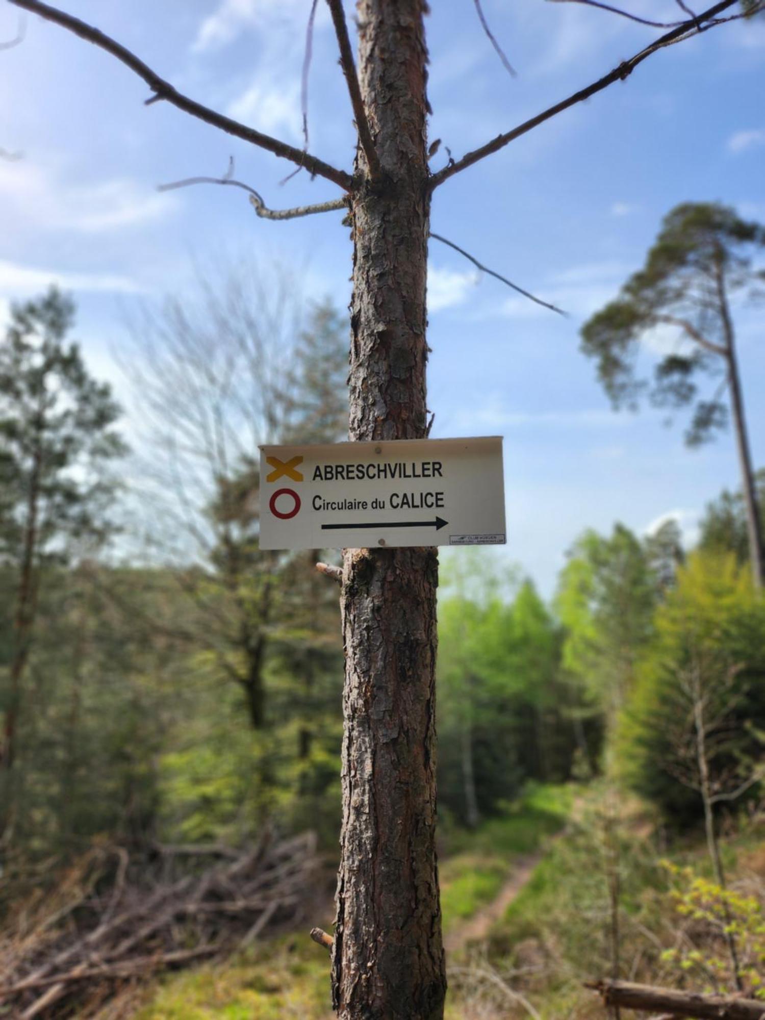 Le Nid Du Calice * Abreschviller