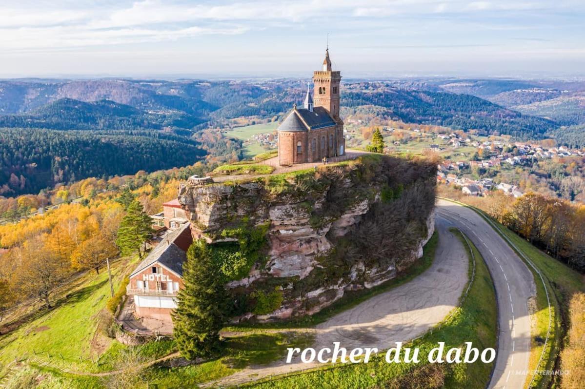 Le Nid Du Calice